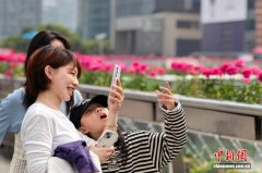 上海街头春意浓 市民游客踏青赏花乐享假期